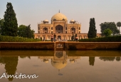 IIP Online Student Photography